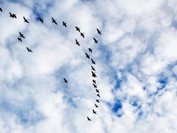 5 Reasons for Cloud Migration
