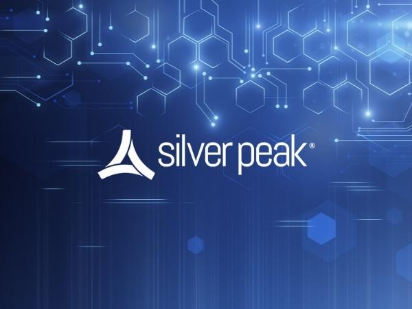 Silver Peak Alternatives for Service Providers