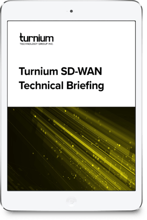 Turnium SD-WAN Technical Brief